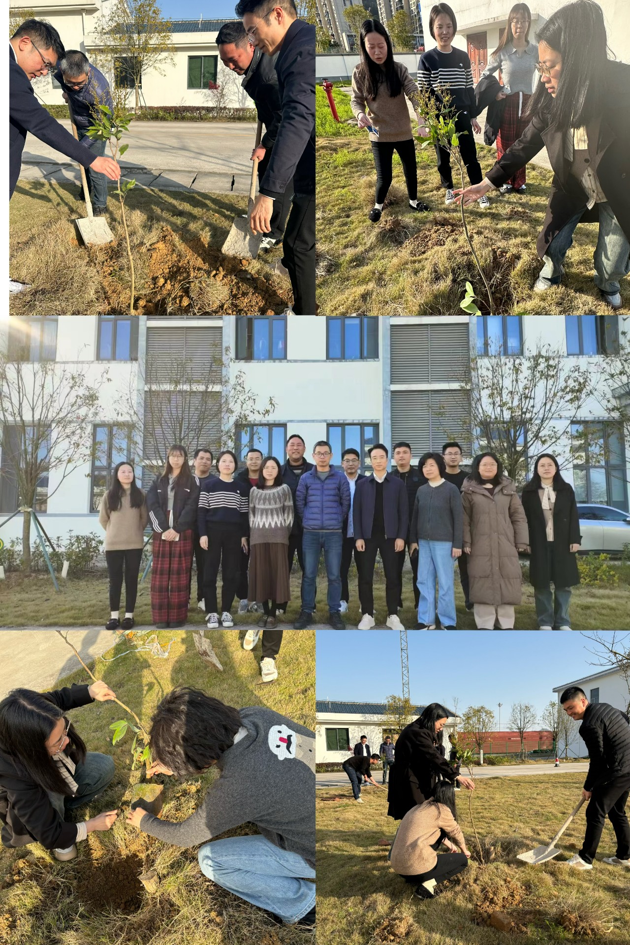 2024-3-12绿色陆港，，，，，，，，美丽宁德，，，，，，，，阮克妙拍摄.jpg